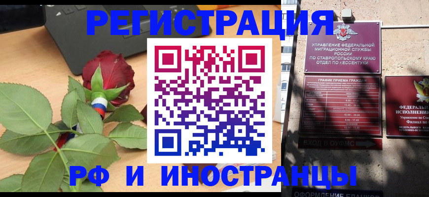 найти адрес прописки в Гатчине